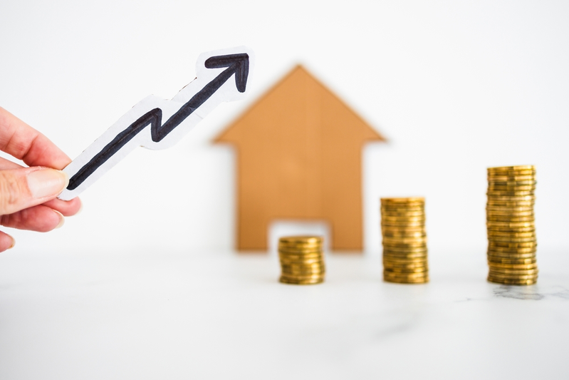 illustration of money growing alongside house